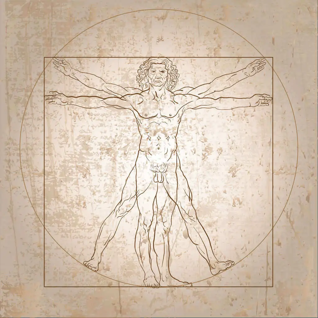 Die Grundregeln der Bildkomposition
Der vitruvianische Mensch
Leonardo da Vinci, ca. 1490